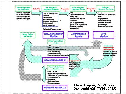 Epigenetic Changes